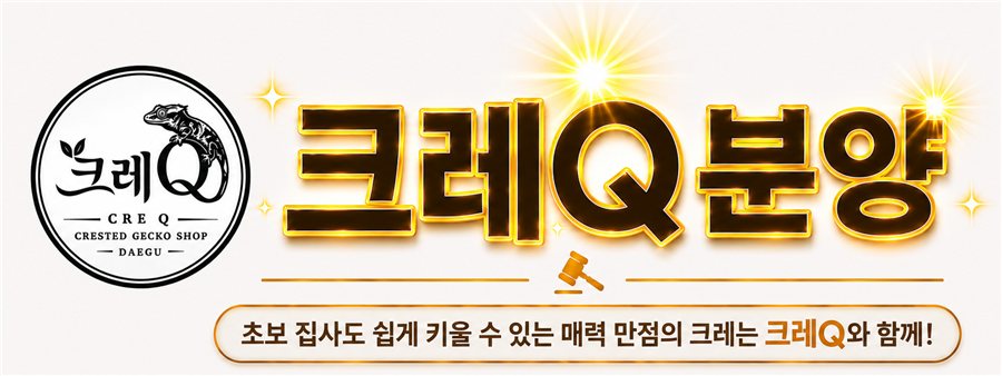 크레Q분양